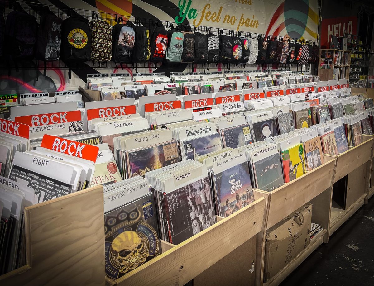 The vinyls at Daddy Cool Records in St. Pete are organized according to genre.