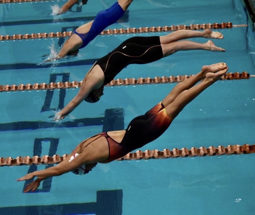 Swimmers dive into the pool at the start of a race. Photo by Patricia Riva.