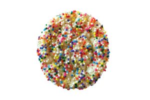 Read This Article For a Cookie