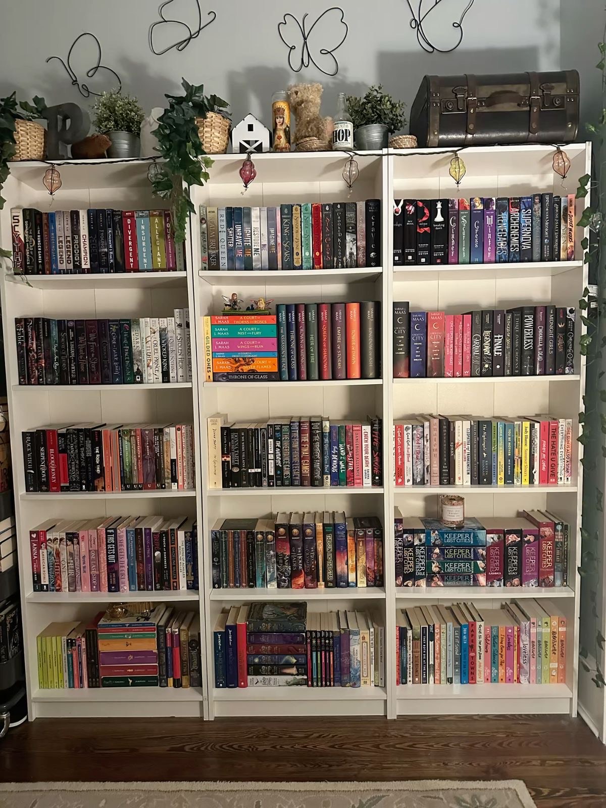 BookTok-inspired bookshelf of BookTok-er Phoebe Pritchard. 