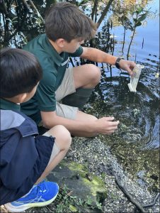 Students in Eighth Grade Science Teacher Kathryn Jeakle’s class test water samples in the Native Classroom. Courtesy of Kathryn Jeakle.